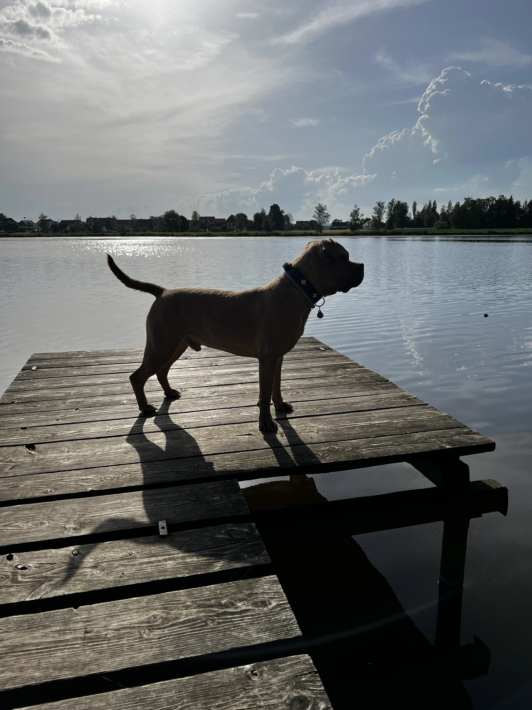 Titus steht auf einem Holzsteg am See.